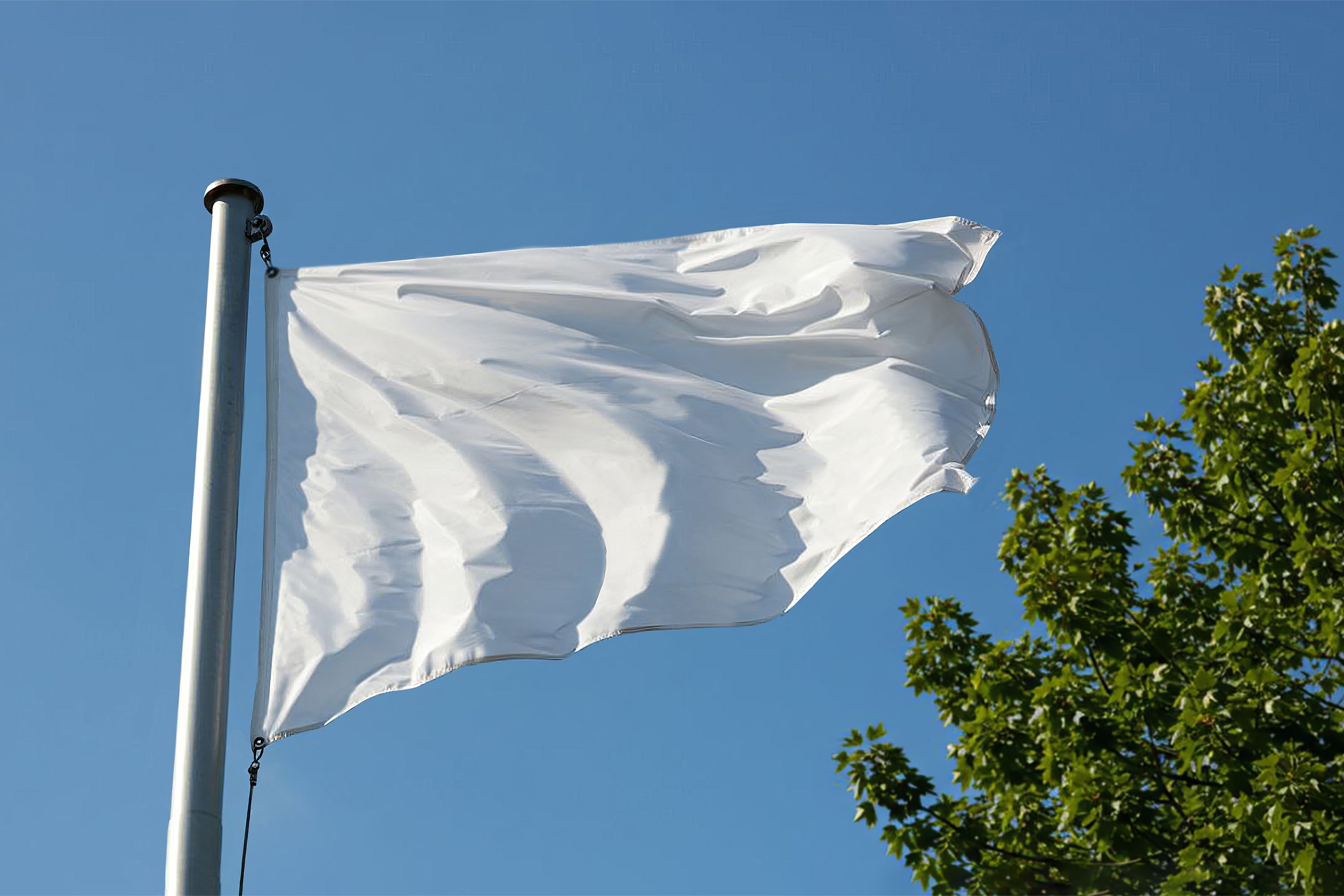 Free Outdoor Flag Banner Mockup