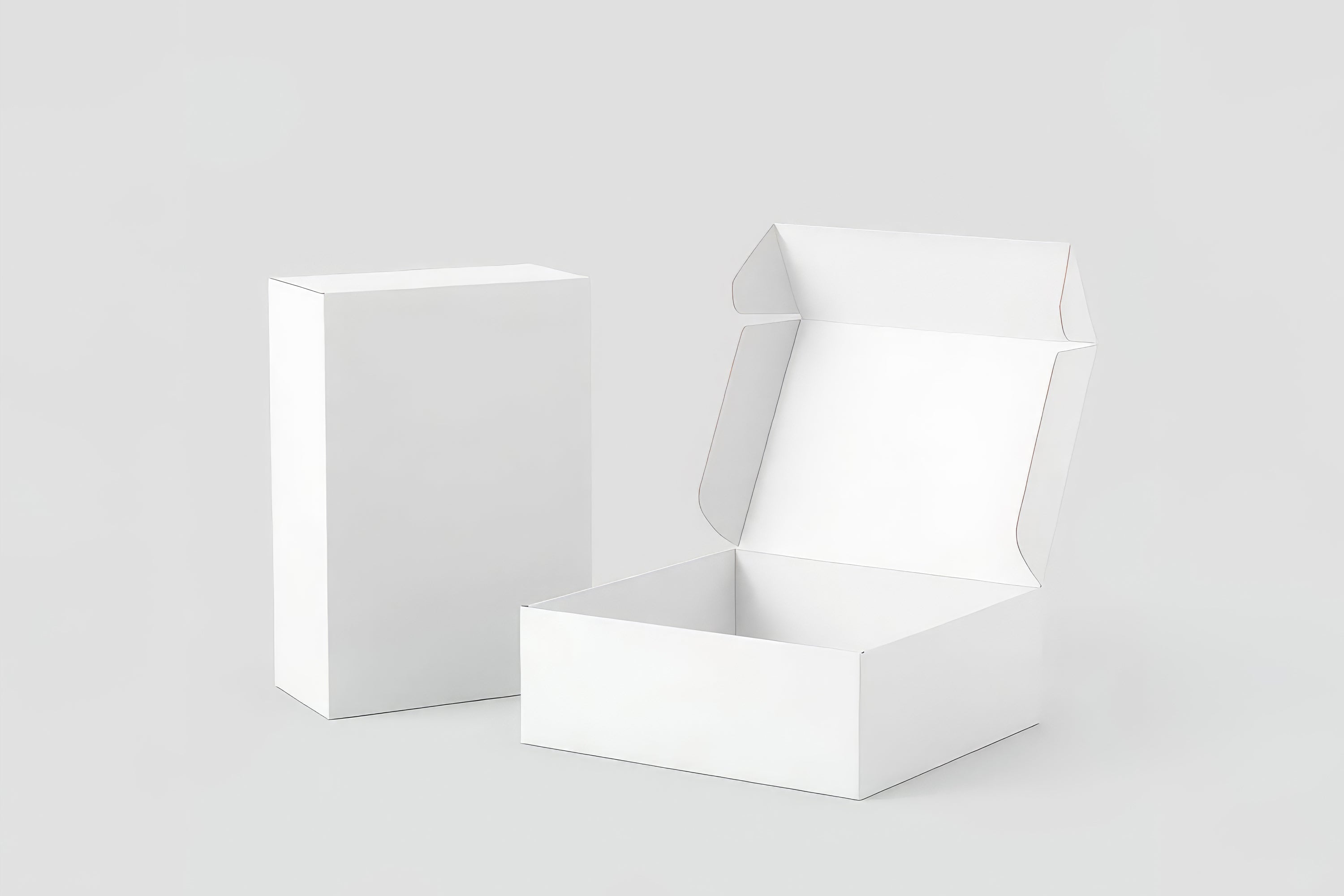 Free Mailer Box Mockup