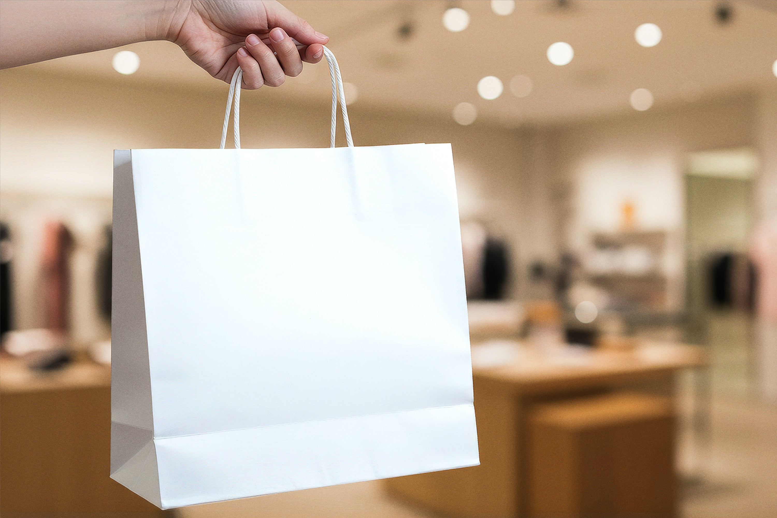 Free Paper Bag Mockup