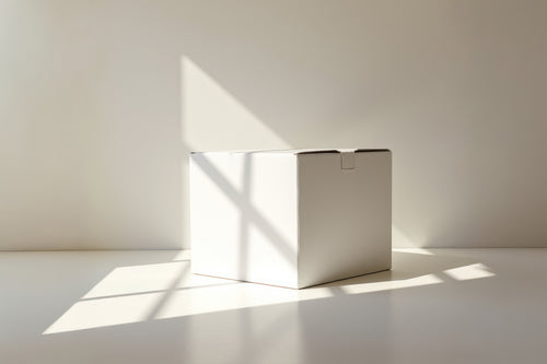 Free Cardboard Box Mockup